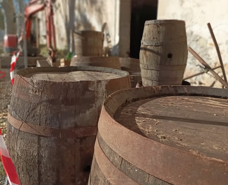 Enormous old oak wine barrels