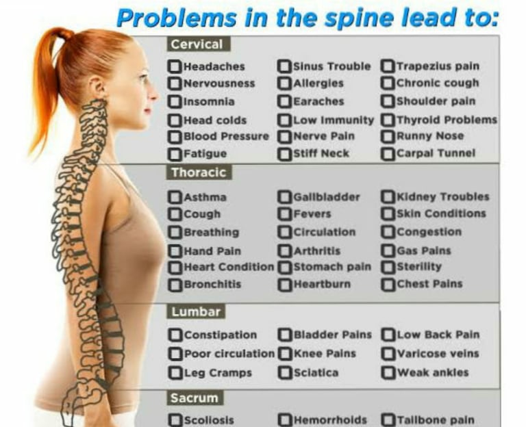 Vetrivel Health center best chiropractic and varamam theraphy 