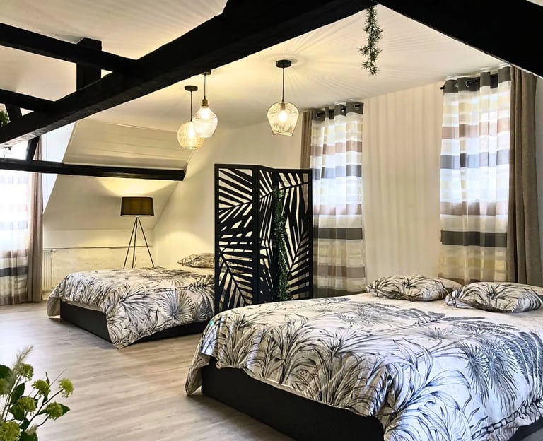 Chambre double spacieuse sous combles, hébergement professionnel tout confort