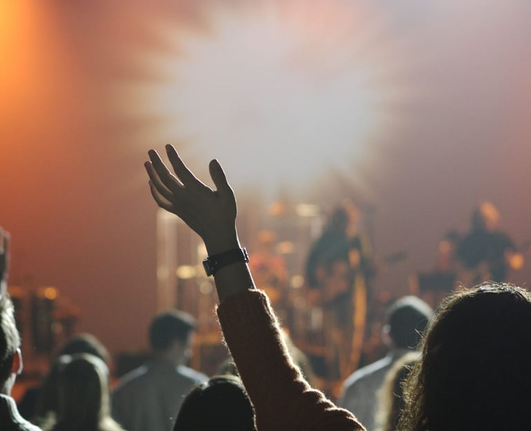 Fans in a crowd at music show