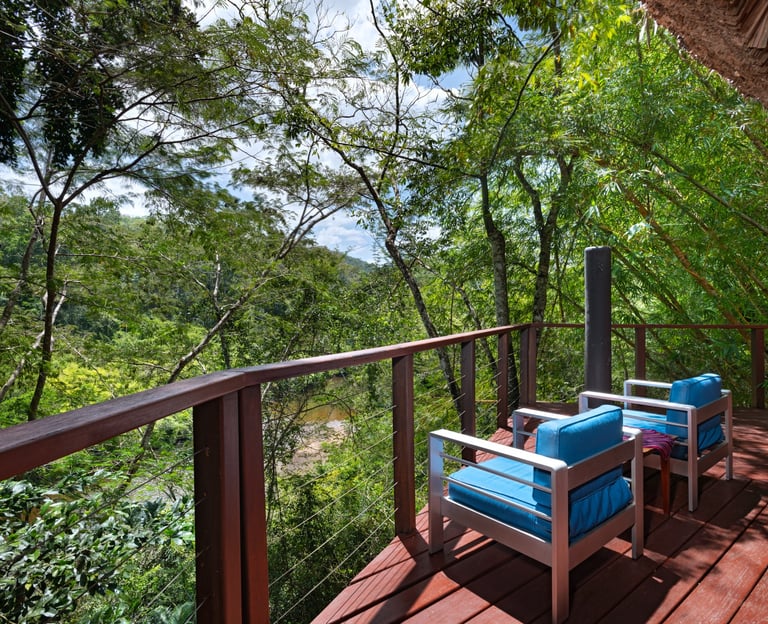 Balcony view of the river