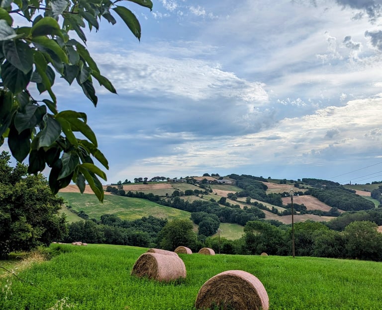 Un champ avec des balles de foin et en arrière plan les collines aveyronnaises