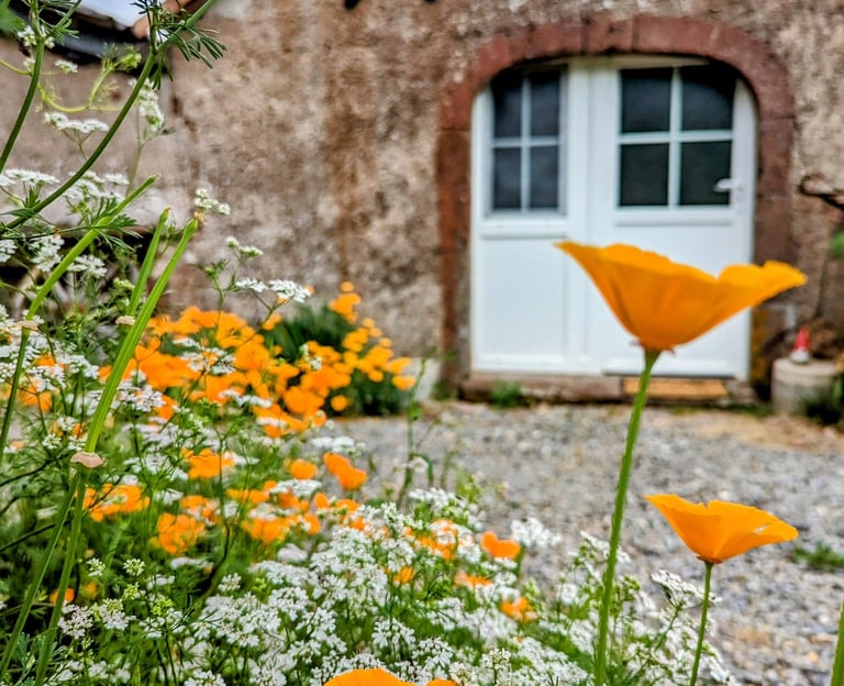 Ensemble de fleur blanche et orange, en arrière plan une maison avec une porte blanche