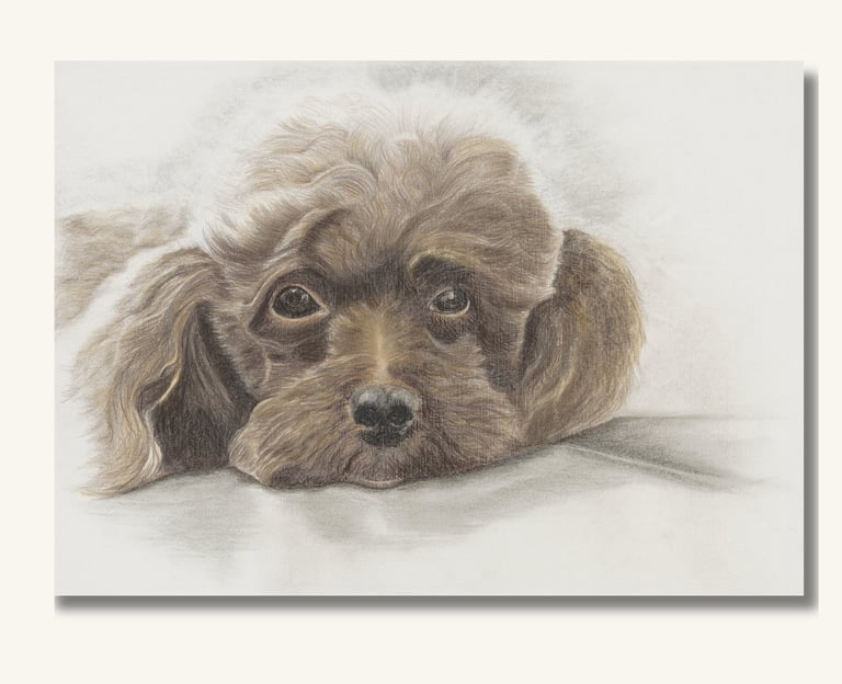 Custom Pet Artwork
