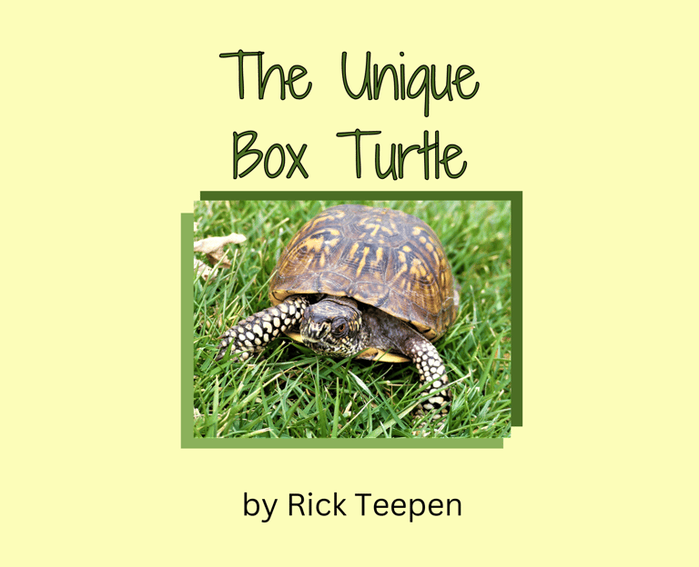 The Unique Box Turtle Book Cover