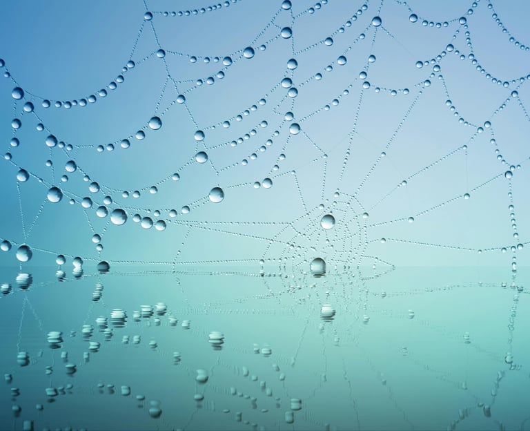 Systemische patronen in onderwijs - verbinding en teamdynamiek.