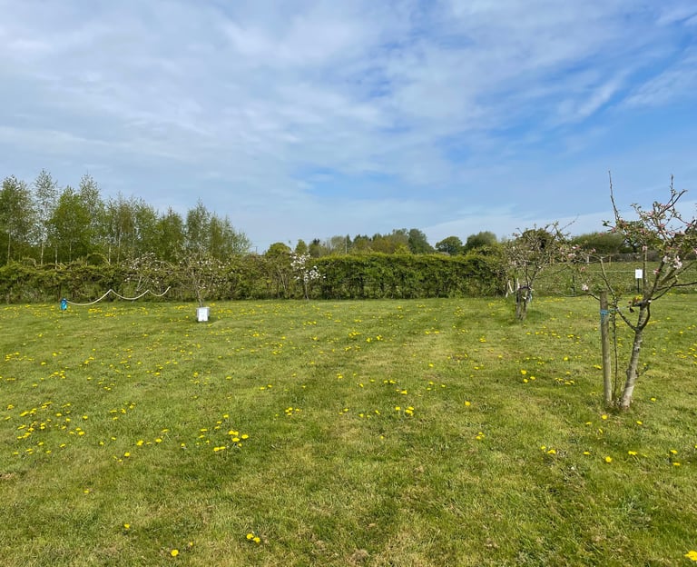 camping in the orchard