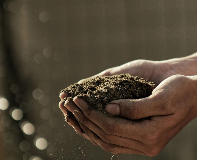 Hand holding nutrient-rich soil, symbolizing sustainability and regenerative agriculture.