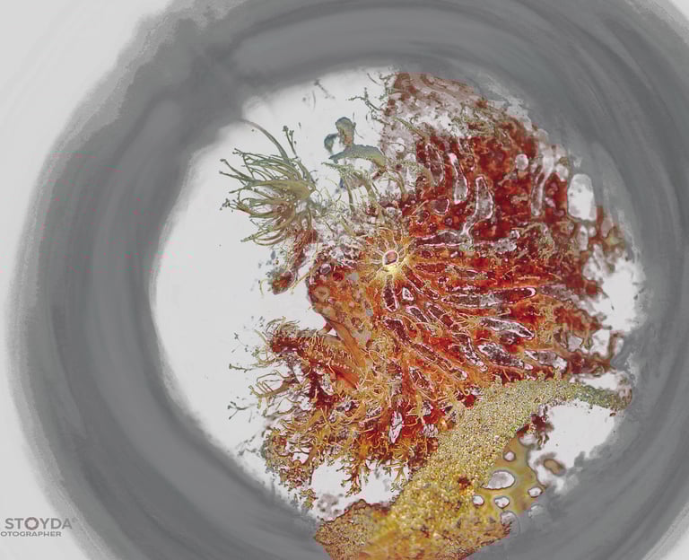 a piece of art work with a circular object