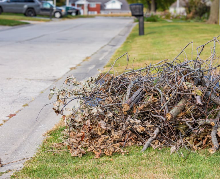 pic of tree trimmings