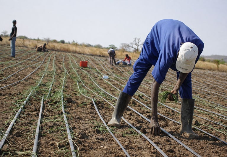a man in a blue shirt is bending over a fence