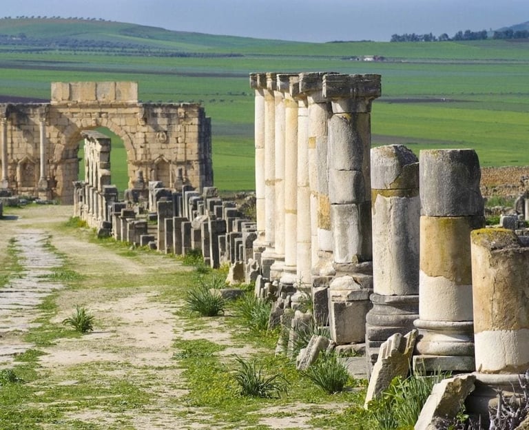 a long line of columns in a field