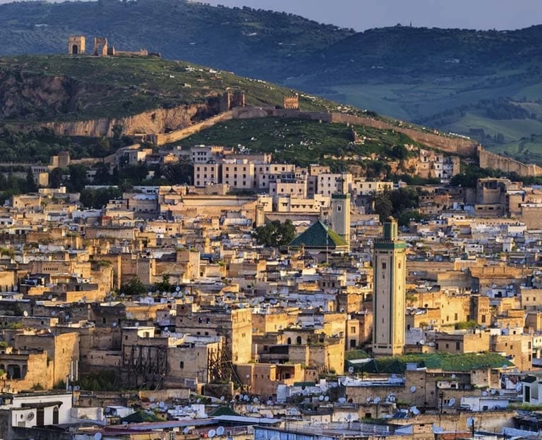 a cityscape of a city with a mountain in the background