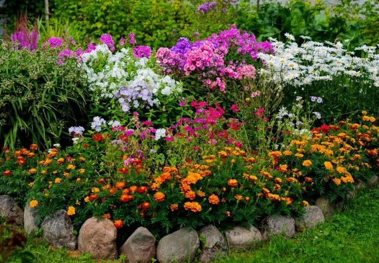 a garden with a variety of flowers and plants