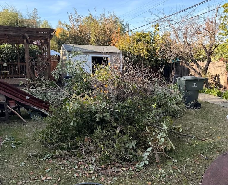 Affordable garden debris pickup in San Francisco 94122 & Mill Valley.