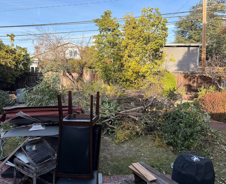 SFC Junk Removal: Grass clipping & hedge trimming hauling in the Bay Area.