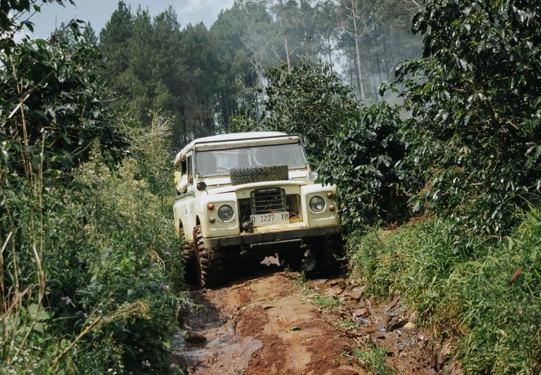 Offroad Land Rover Series III putih di jalur berlumpur berbatu di Pangalengan, dikelilingi oleh perkebunan hijau dan hutan pi
