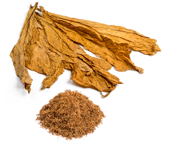 Pile of tobacco leaves and a pile of tobacco.