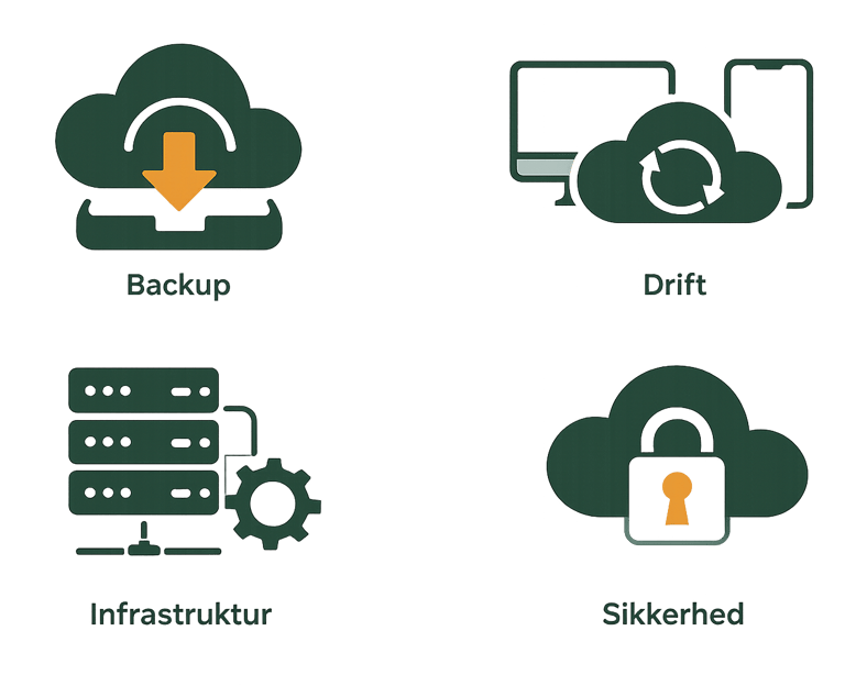 Backup af virksomhedsdata