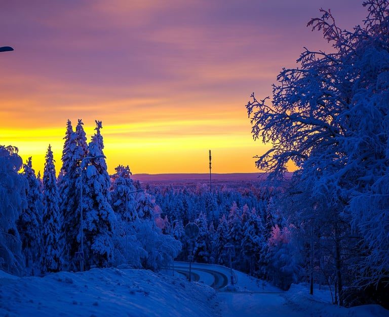 snow land