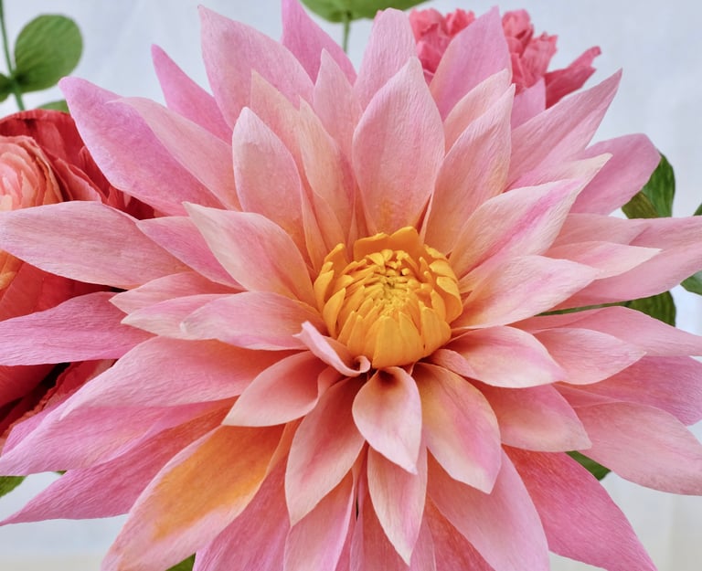 Fleur de dahlia rose dragé en papier crépon. 