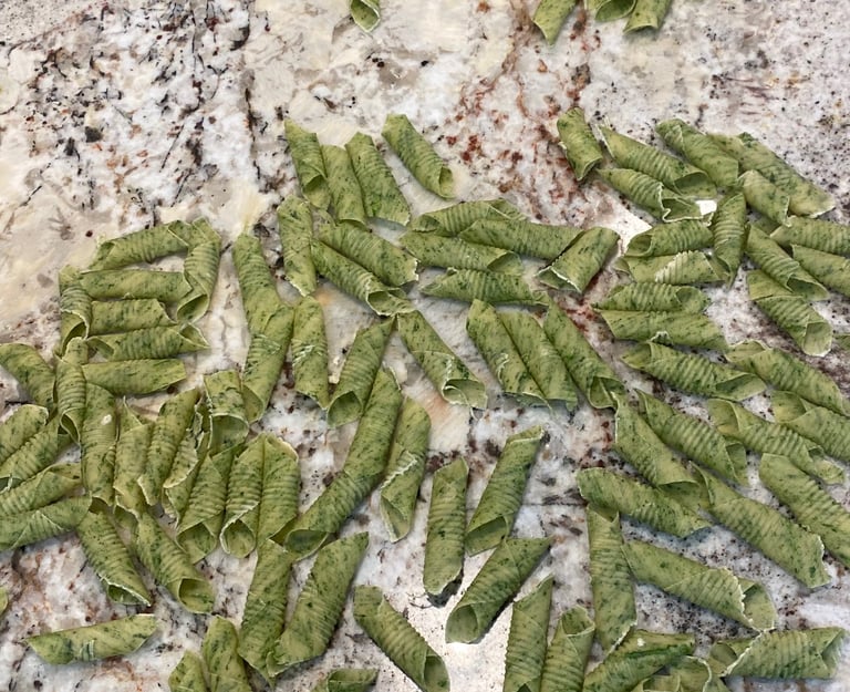 Fresh Garganelli noodles before cooking
