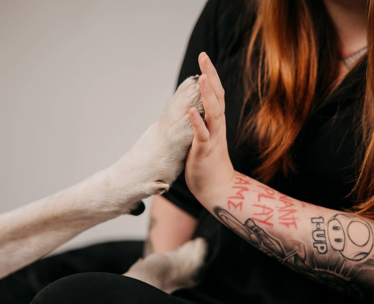 hand-und-pfote