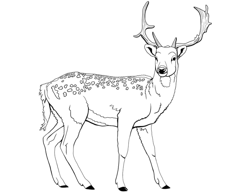 Map of Hamburg's wildlife destinations