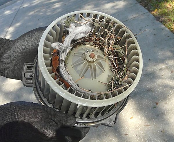 Car AC Blower Motor Replacement