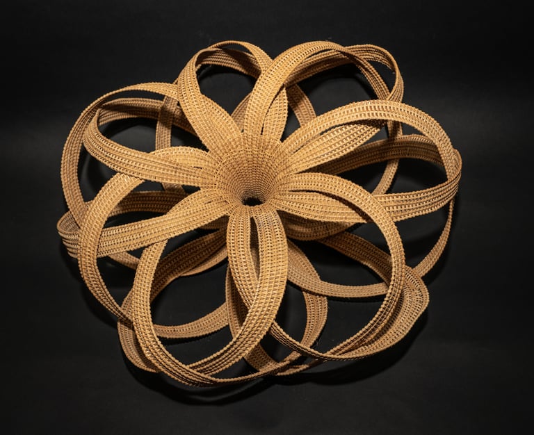 Number 28, 2008, cane, reed