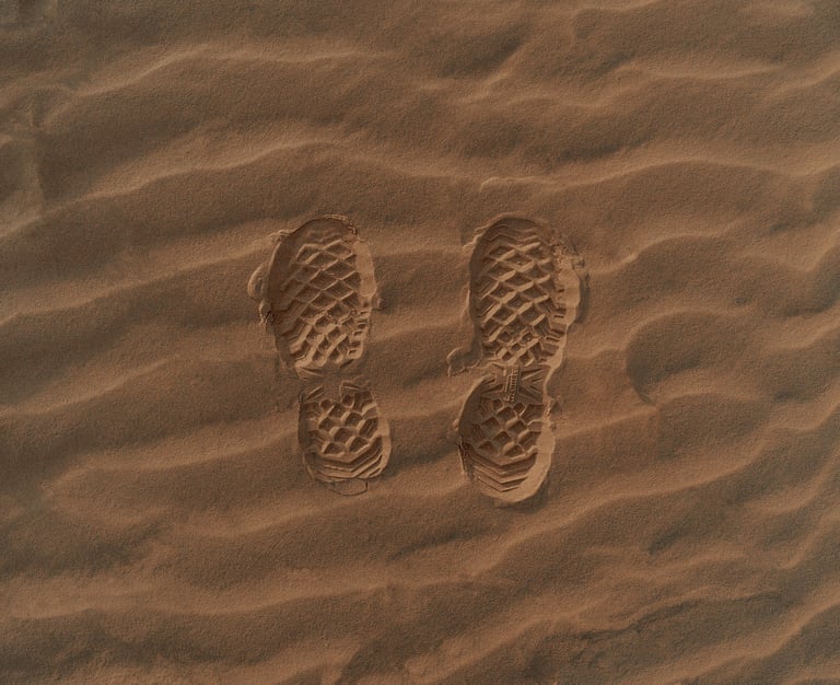 professional investigation methods Vietnam