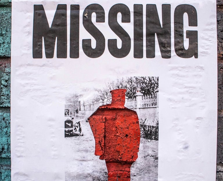 missing person detective Vietnam