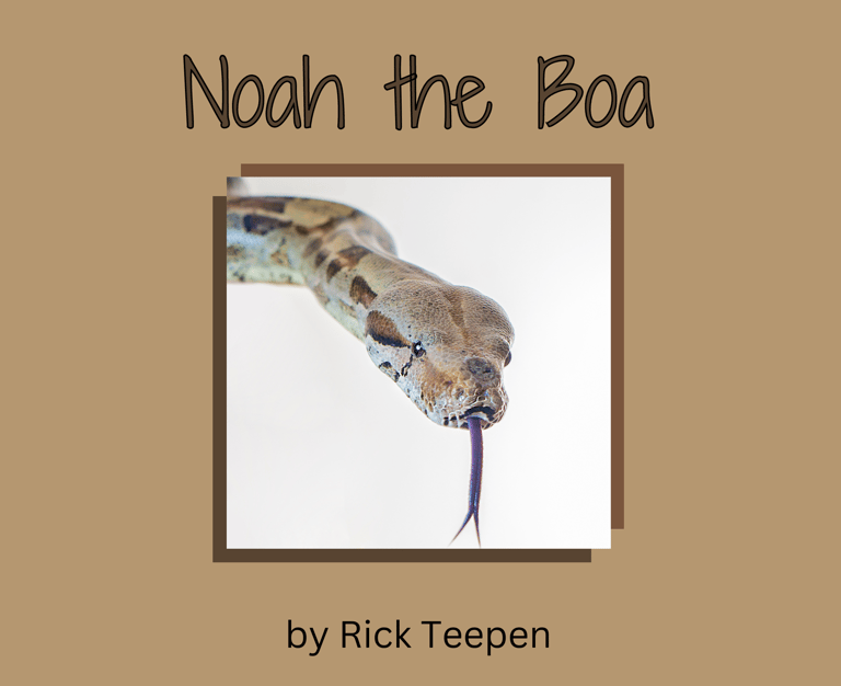 Noah the Boa Book Cover