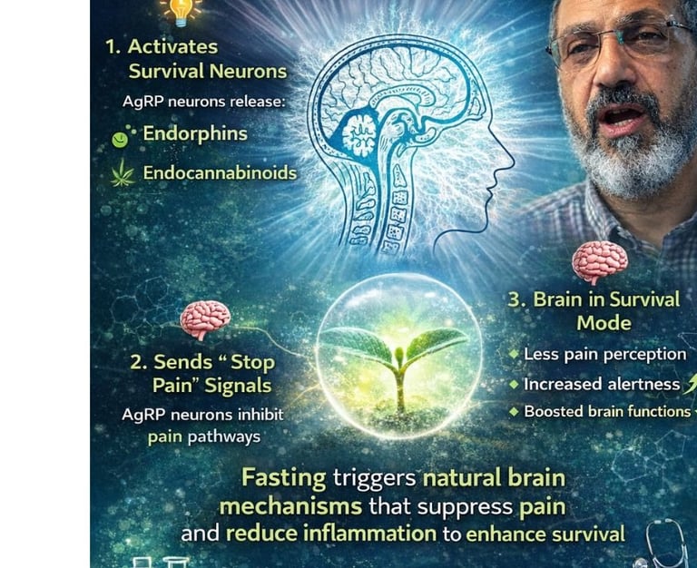 https://www.h-k-e-m.com/-natural-painkillers-activated-by-fasting-hunger-and-pain-relief-explained
