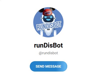 The runDisBot on Telegram, an AI to answer all your running at Disney questions