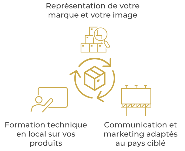 Diagram showing brand representation, technical training, and localized marketing strategies for global products.