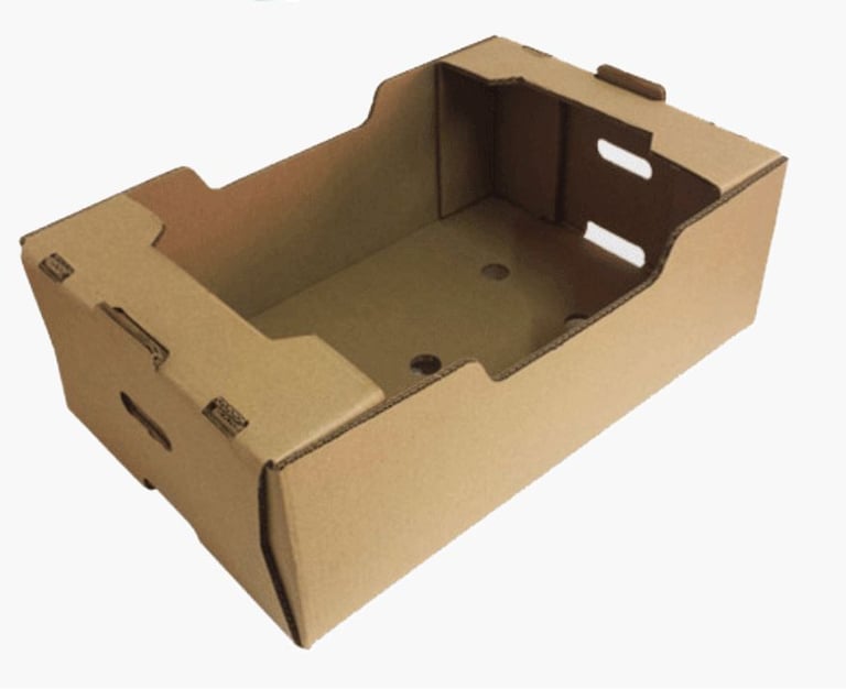 caja de carton para fruta agricultura