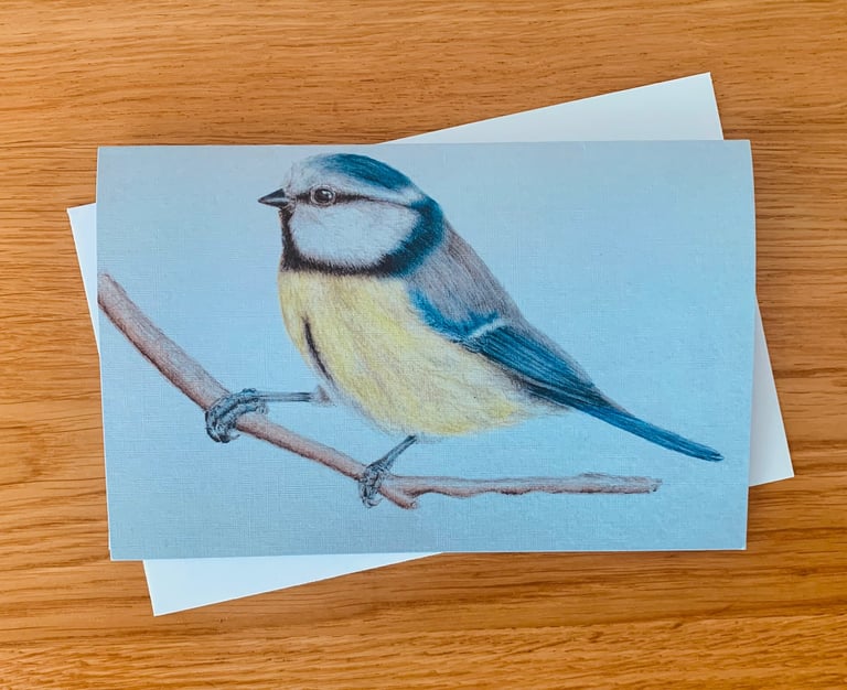 Blue Tit