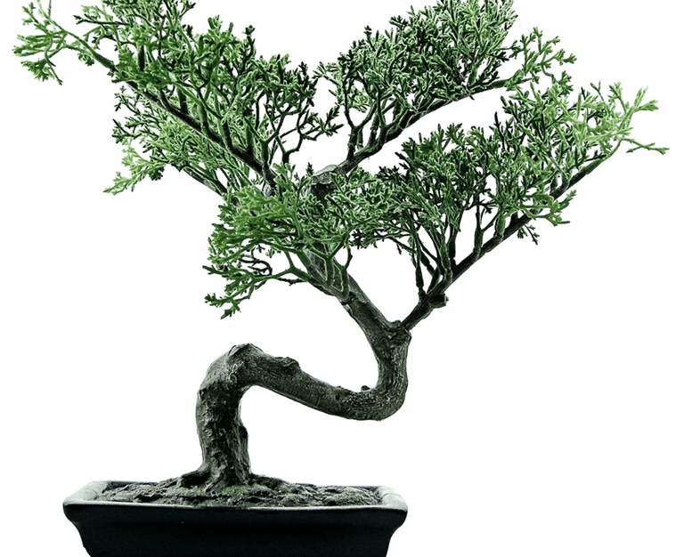 sustainable-health-demurewink-featured-posts