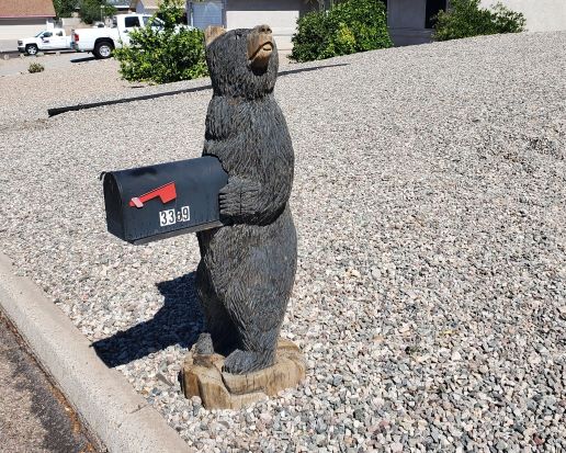 Bear Mailbox Lake Havasu City AZ