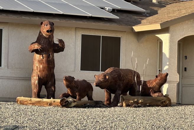 Bears Landscaping Lake Havasu AZ