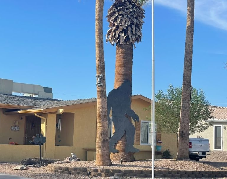 Big Foot Shadow Landscaping Lake Havasu AZ