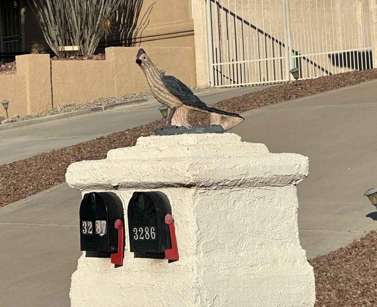 Bird Mailbox Lake Havasu City AZ