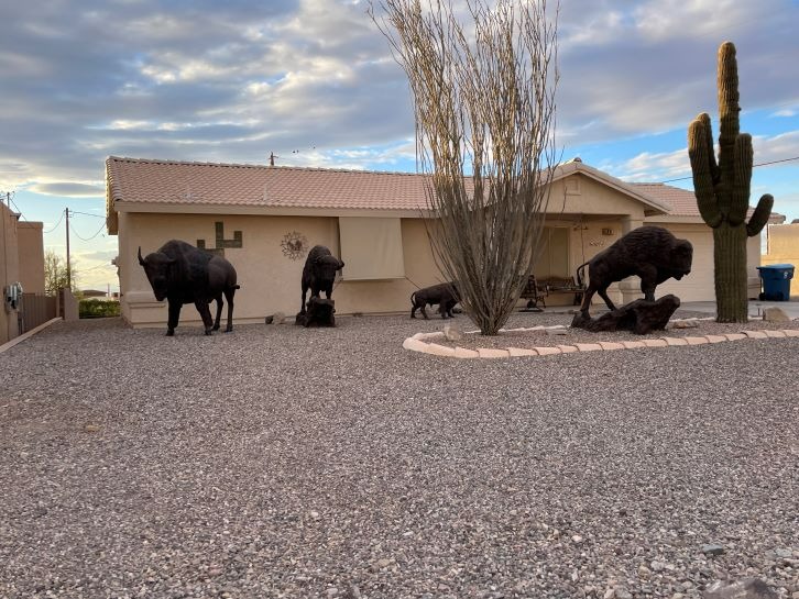 Bison Herd Landscaping Lake Havasu AZ