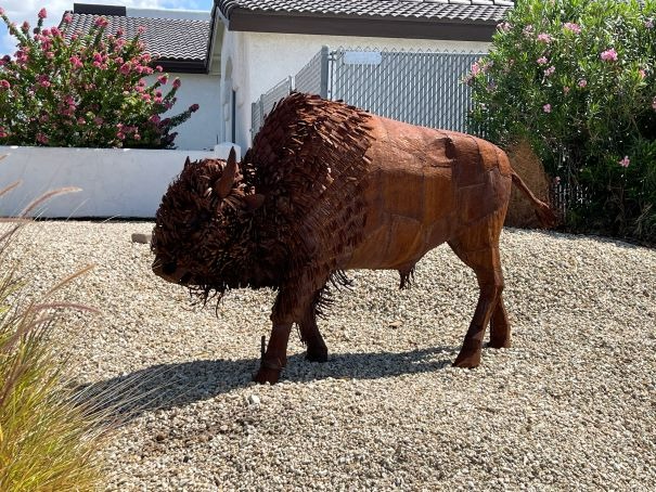 Bison Landscaping Lake Havasu AZ