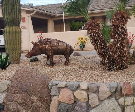Bore Landscaping Lake Havasu AZ