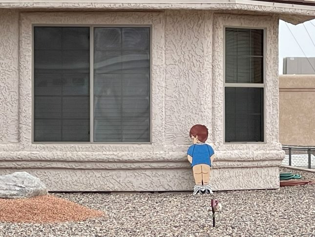 Boy Landscaping Lake Havasu AZ