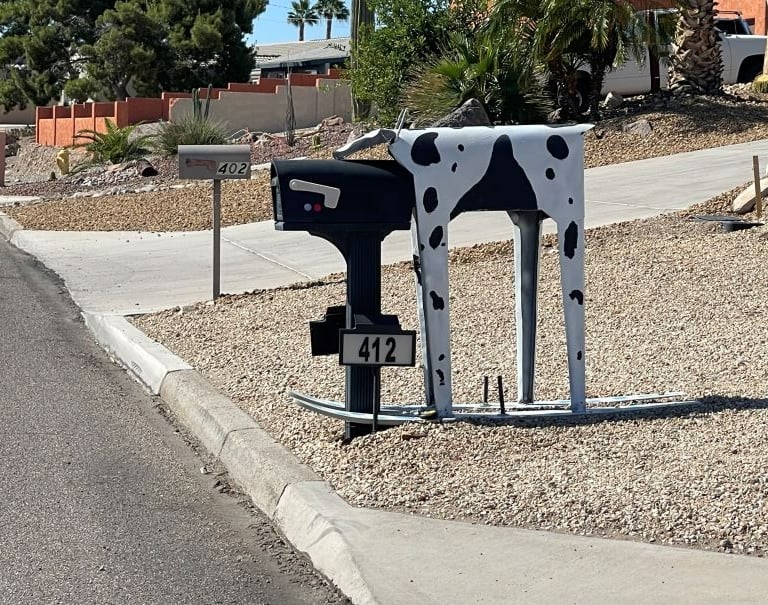 Cow Mailbox Lake Havasu City AZ
