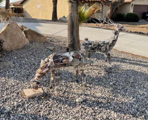 Deer Wire-Rocks Landscaping Lake Havasu AZ