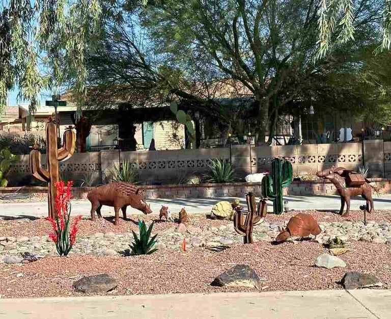 Desert Animals Landscaping Lake Havasu AZ